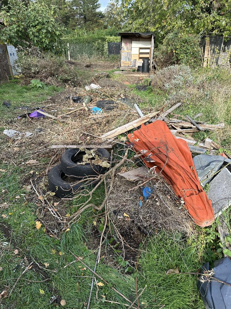 Garden waste removal in Chiswick after service, showing cleared allotment ground with reduced debris and improved access