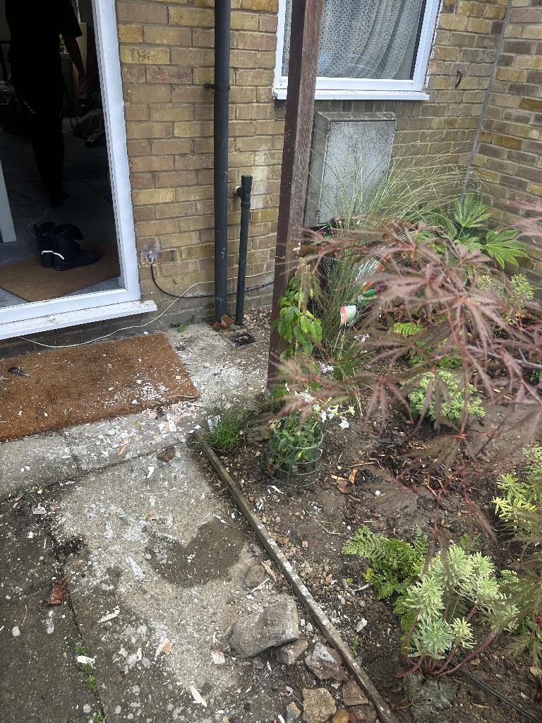 Home renovation waste clearance in Whitechapel after clearance showing the area near plants cleared of plasterboard and pallets