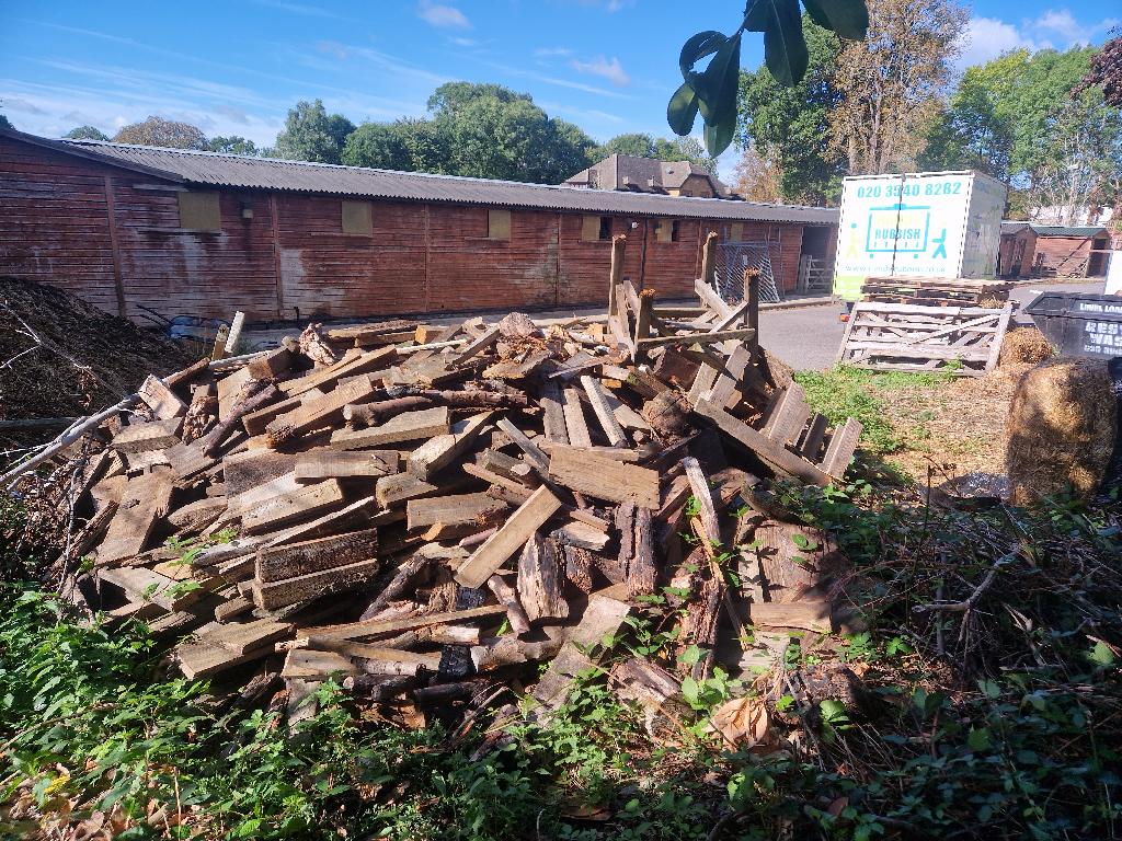 Garden and yard clearance in Putney before the clearance, showing bulky timber and mixed garden waste in the yard