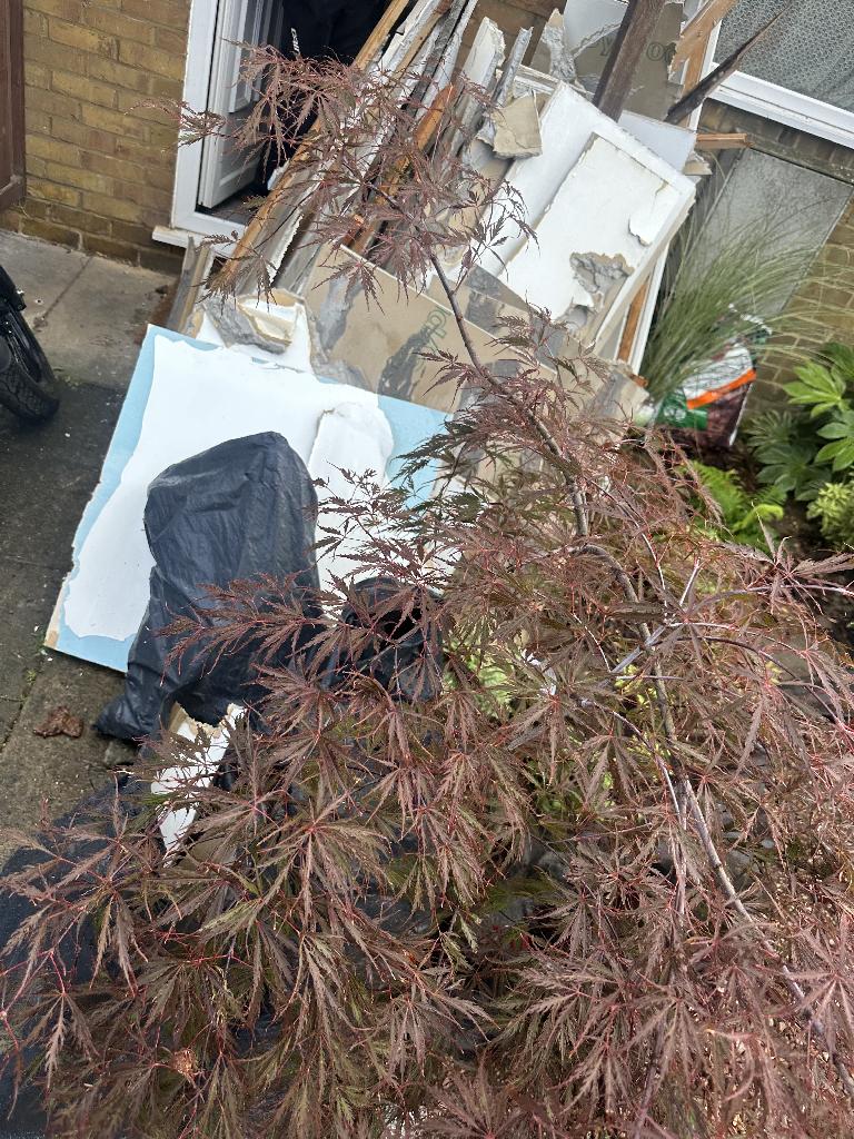 Home renovation waste clearance in Whitechapel before clearance showing plasterboard pieces and debris piled near garden plants