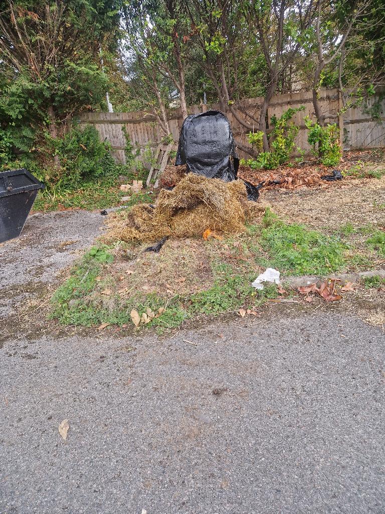 Garden and yard clearance in Putney after the clearance, showing improved yard openness and less scattered waste