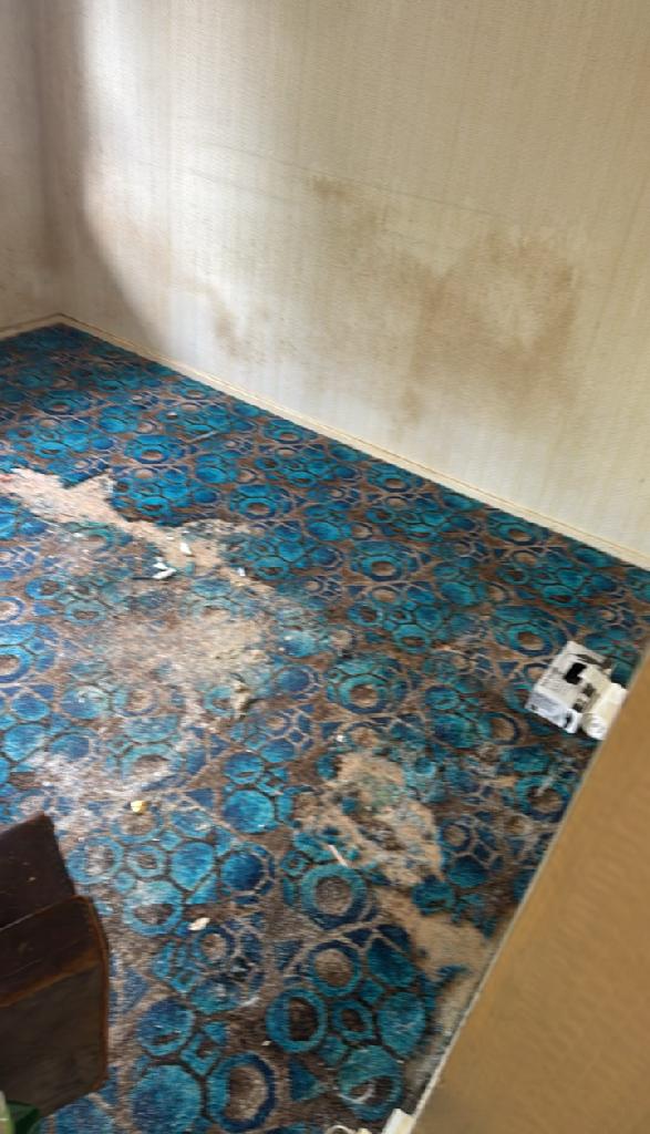 Cleared carpet area in Wembley Park after household furniture clearance