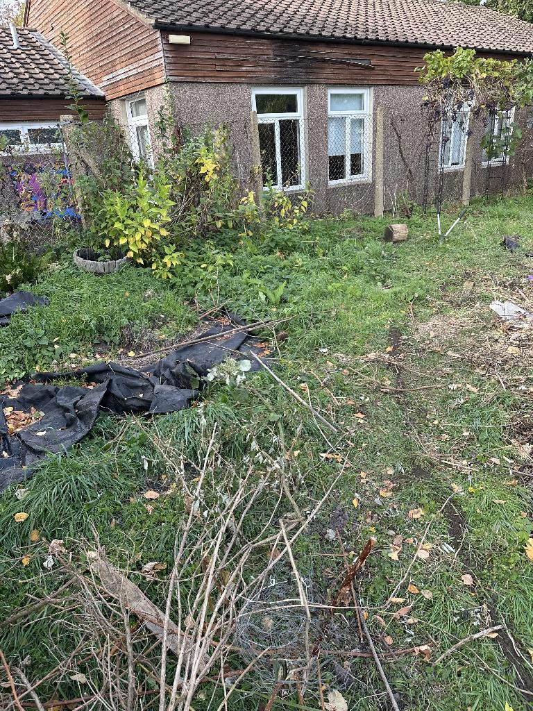 Allotment clearance in Chiswick after service, showing an improved, clearer allotment grass area with waste reduced