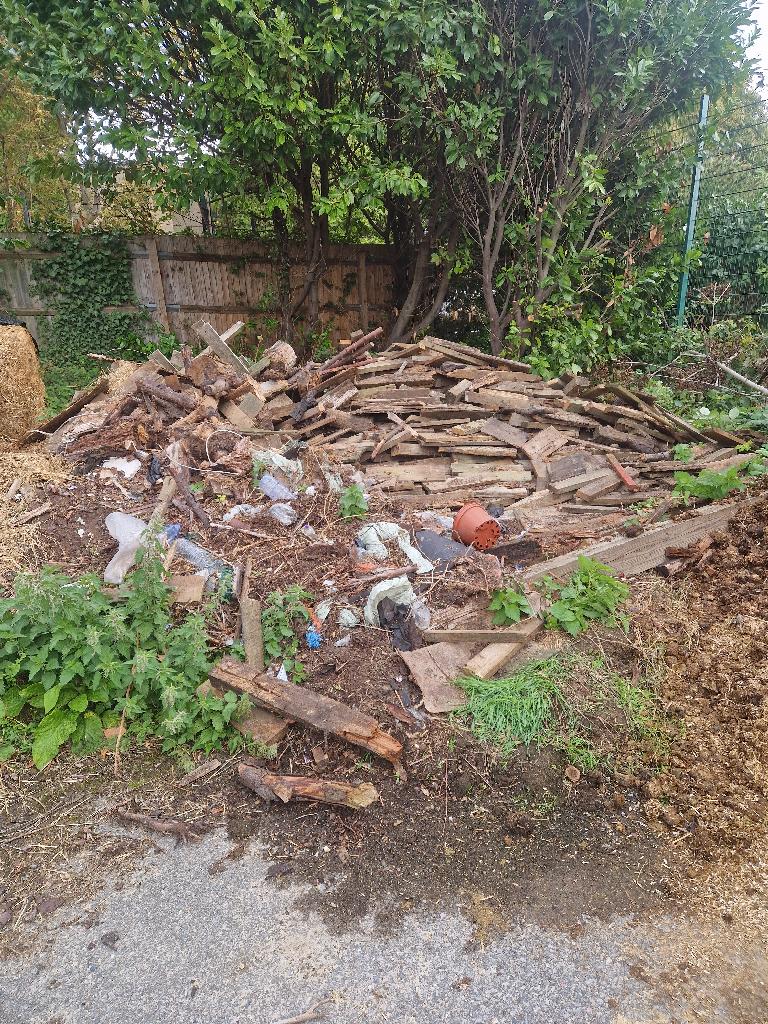 Garden and yard clearance in Putney after the clearance, showing reduced timber clutter and a clearer garden surface