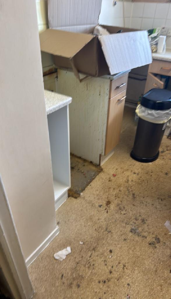 Kitchen area with improved access in Wembley Park after household furniture clearance